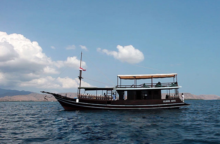 Paket Diving MV Cajoma Dive Labuan Bajo Komodo Putra Wijaya Tours
