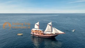Amaya Explorer Liveaboard Diving Sailing Trip Indo