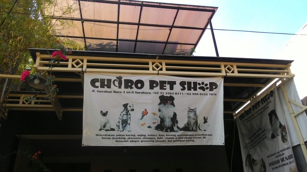 Chiro Petshop Surabaya