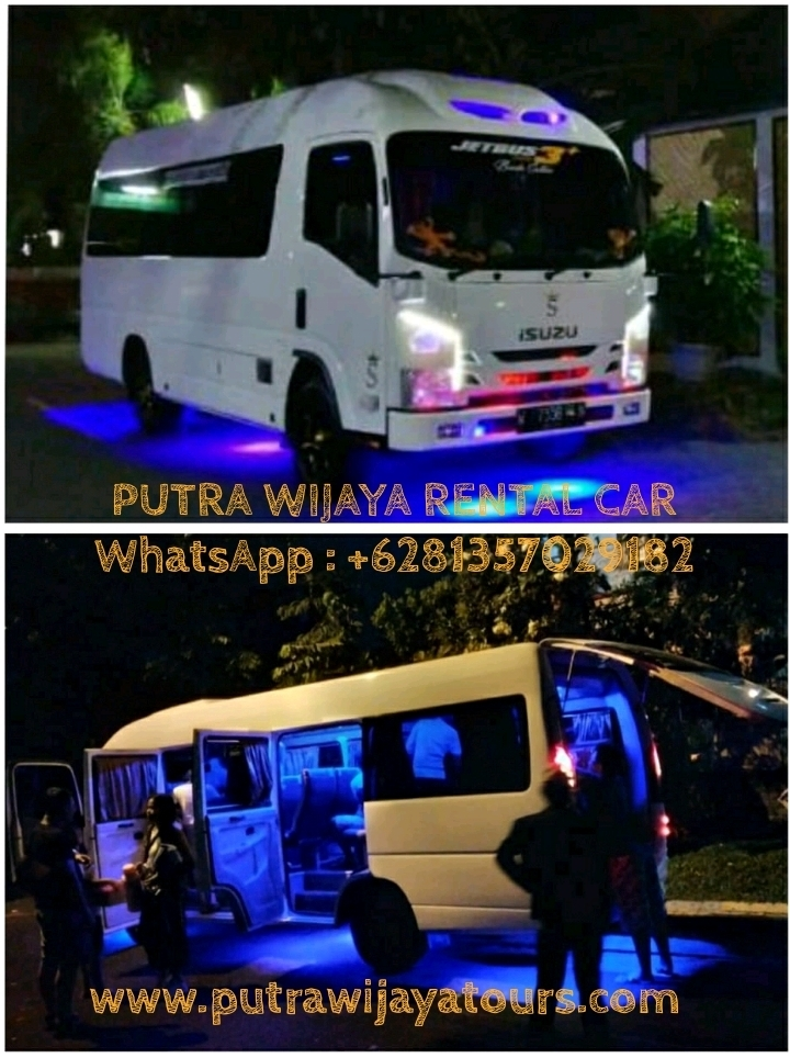 Sewa Elf