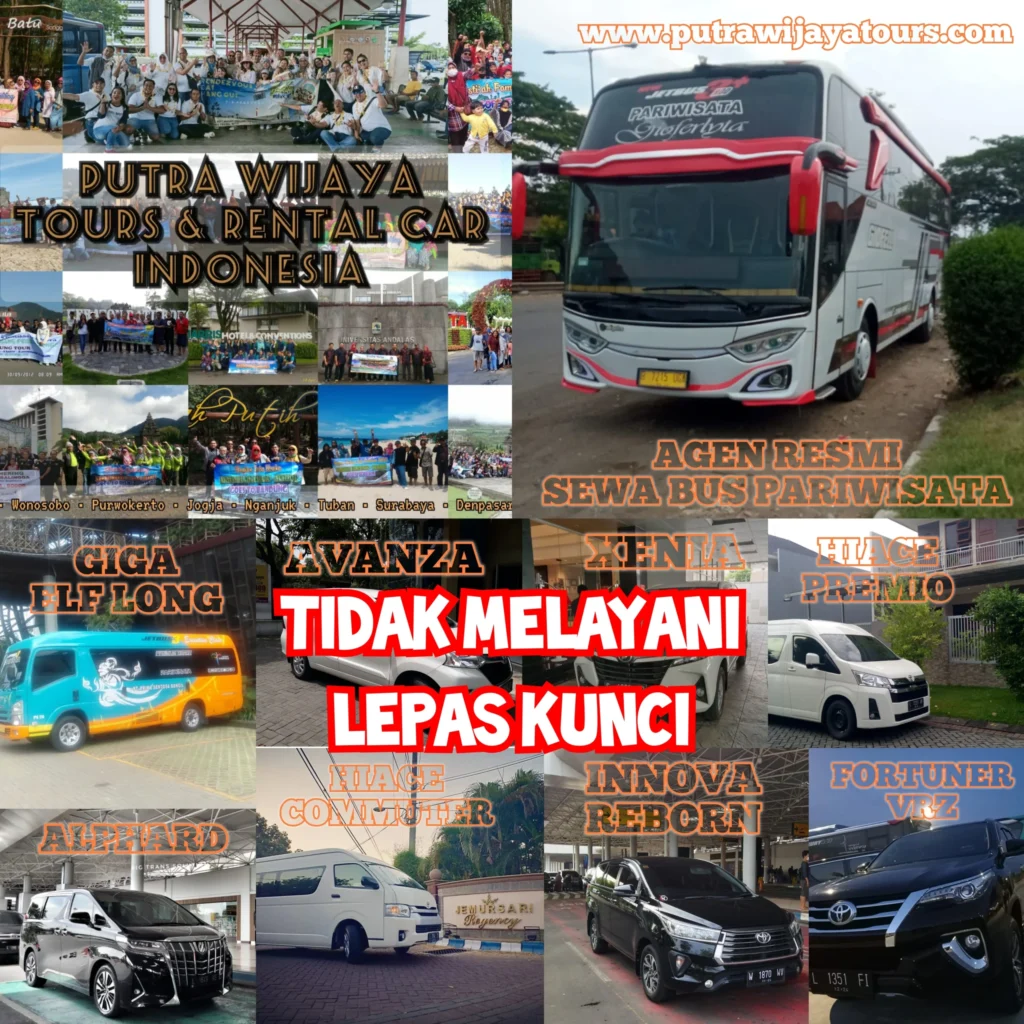 Sewa Mobil Terbaru
