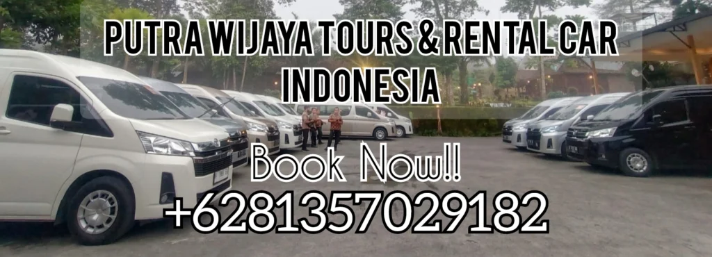 Sewa Mobil Terbaru