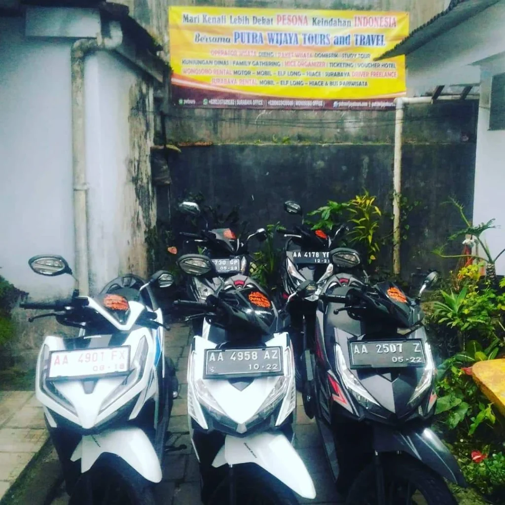 Sewa Motor Dieng Terbaru